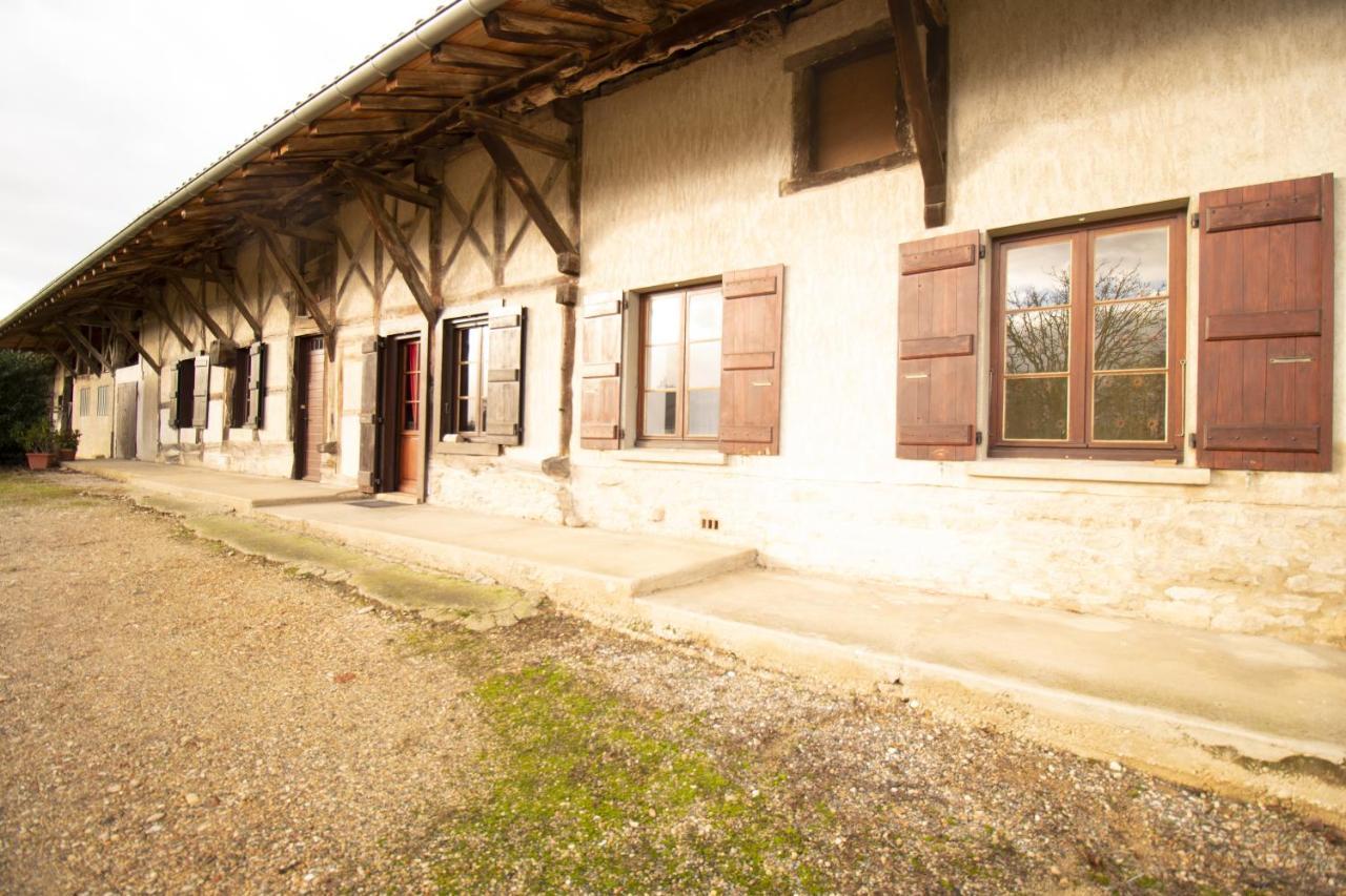 Ferme Bressane - 4 Chambres Saint-Etienne-du-Bois  Kültér fotó